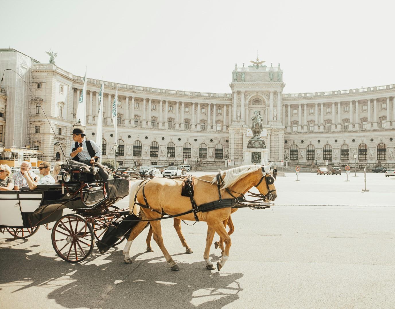 sandro gonzalez MgiCmxjbCQg unsplash